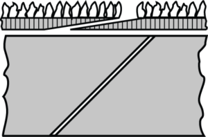 F1 Joint