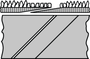 F2 Joint