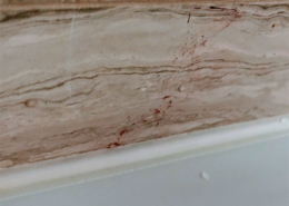 silicone sealant in hdb