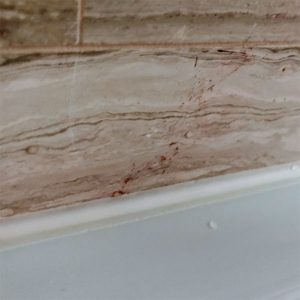 silicone sealant in hdb