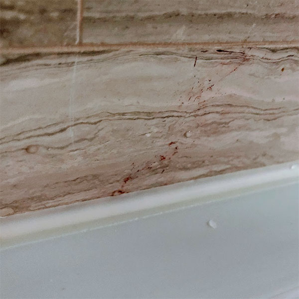 silicone sealant in hdb